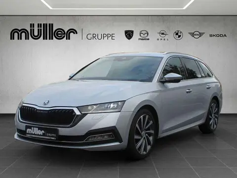 Used SKODA OCTAVIA Diesel 2020 Ad 