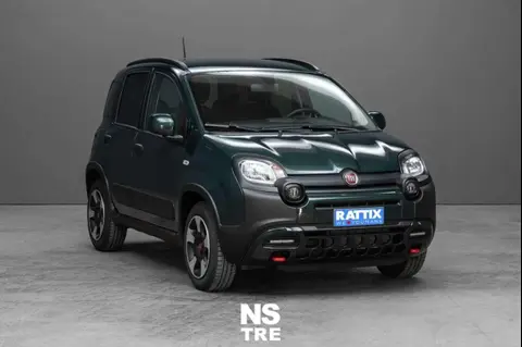 Used FIAT PANDA Hybrid 2024 Ad 