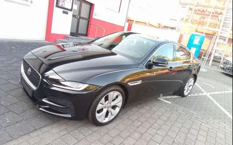 Used JAGUAR XE Petrol 2020 Ad 