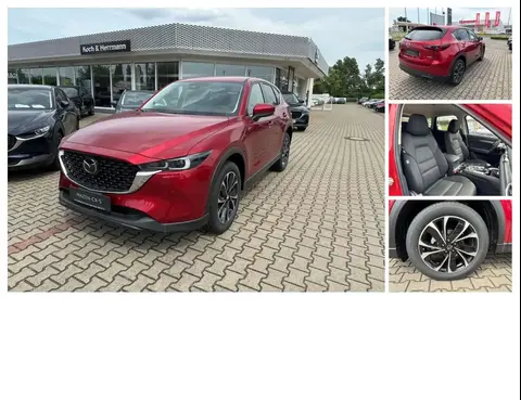 Used MAZDA CX-5 Hybrid 2024 Ad 