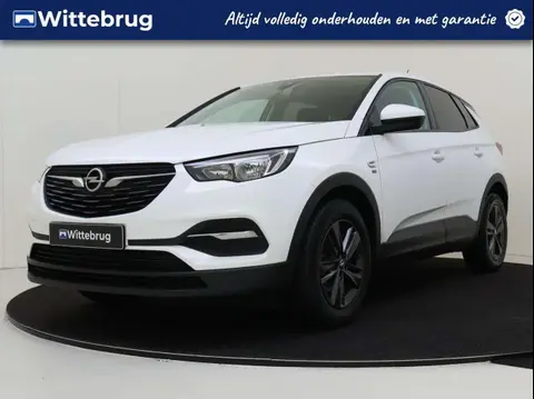 Used OPEL GRANDLAND Petrol 2019 Ad 