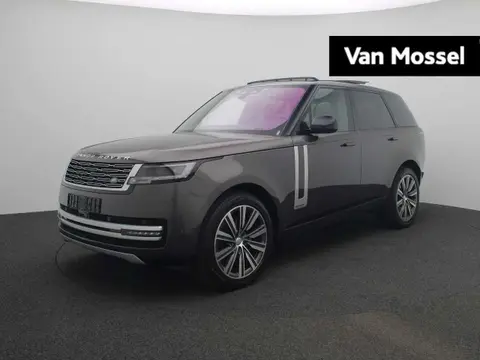 Annonce LAND ROVER RANGE ROVER Diesel 2024 d'occasion 