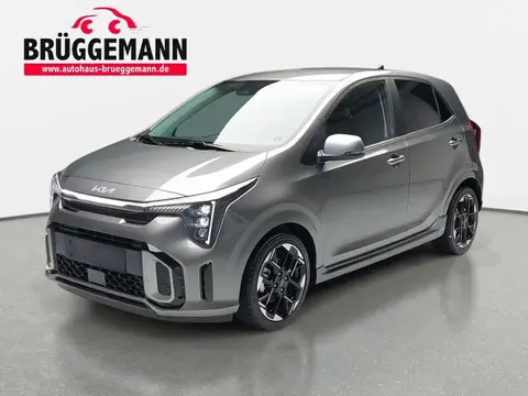 Used KIA PICANTO Petrol 2024 Ad 