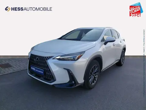 Annonce LEXUS NX  2022 d'occasion 