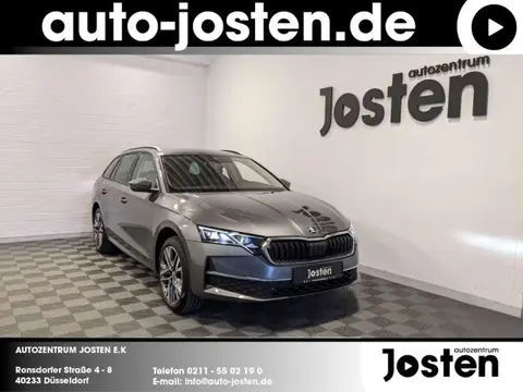 Used SKODA OCTAVIA Diesel 2024 Ad 