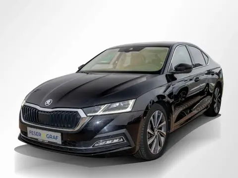 Annonce SKODA OCTAVIA Diesel 2020 d'occasion 