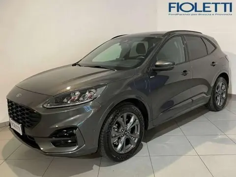 Used FORD KUGA Hybrid 2023 Ad 