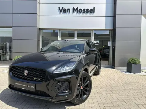 Used JAGUAR E-PACE Hybrid 2023 Ad 