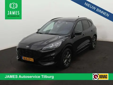 Annonce FORD KUGA Hybride 2023 d'occasion 