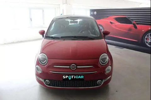 Used FIAT 500 Hybrid 2024 Ad 