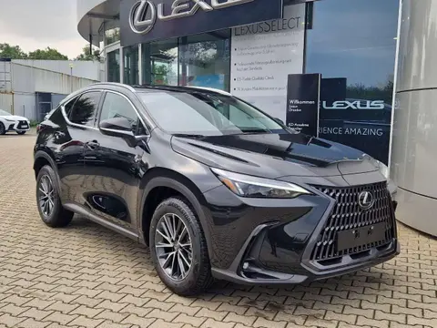 Used LEXUS NX Hybrid 2024 Ad 