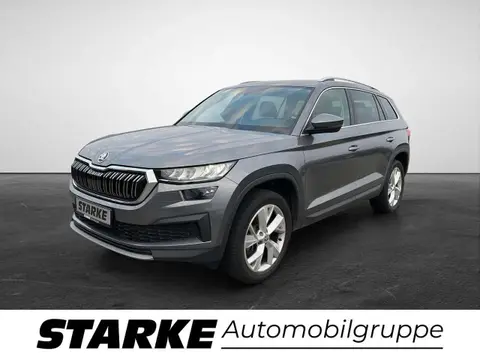 Annonce SKODA KODIAQ Diesel 2023 d'occasion 