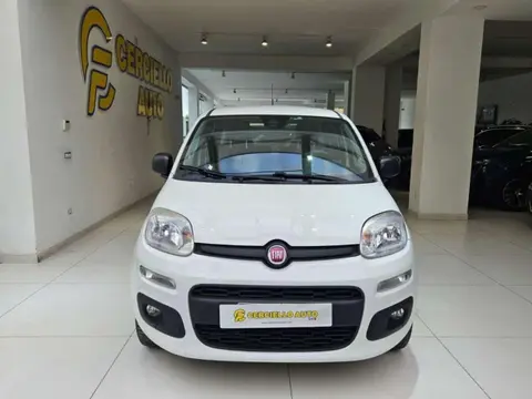 Used FIAT PANDA  2018 Ad 