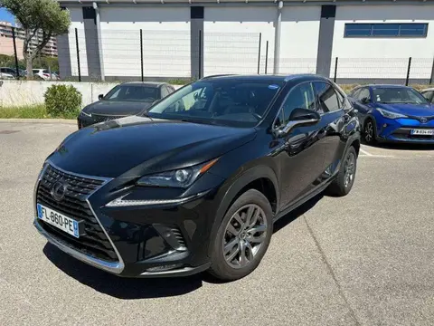 Annonce LEXUS NX Hybride 2019 d'occasion 