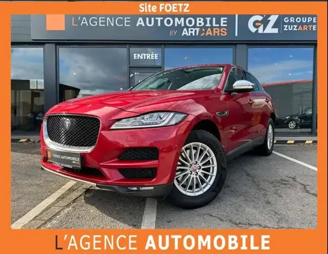 Used JAGUAR F-PACE Diesel 2017 Ad 