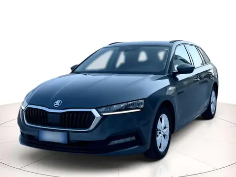 Annonce SKODA OCTAVIA Diesel 2020 d'occasion 