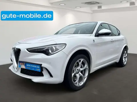 Used ALFA ROMEO STELVIO Petrol 2020 Ad 