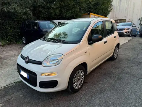 Used FIAT PANDA Petrol 2020 Ad 