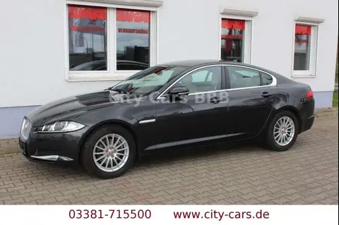 Used JAGUAR XF Petrol 2014 Ad 