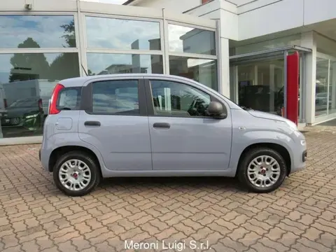 Annonce FIAT PANDA Essence 2020 d'occasion 