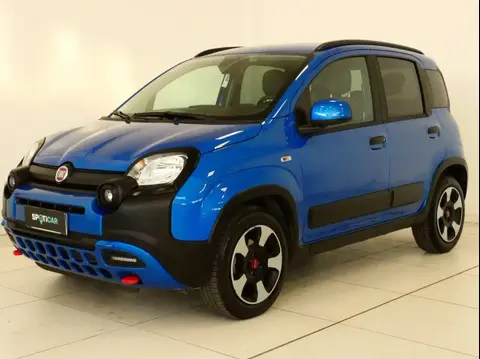 Annonce FIAT PANDA Hybride 2024 d'occasion 