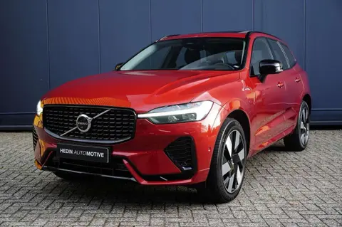 Annonce VOLVO XC60 Hybride 2024 d'occasion 