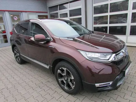 Used HONDA CR-V Hybrid 2019 Ad 