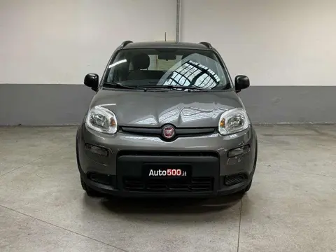 Used FIAT PANDA Hybrid 2022 Ad 