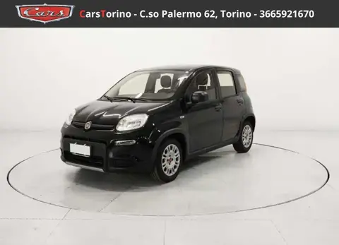 Used FIAT PANDA Hybrid 2024 Ad 