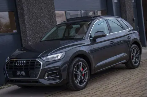 Used AUDI Q5 Hybrid 2021 Ad 