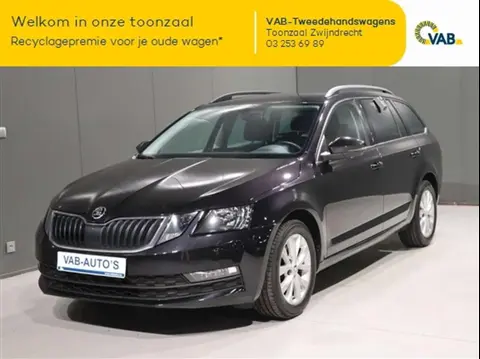 Annonce SKODA OCTAVIA Essence 2019 d'occasion 