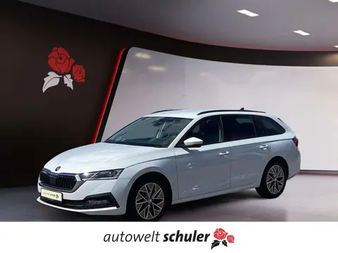 Annonce SKODA OCTAVIA Diesel 2022 d'occasion 