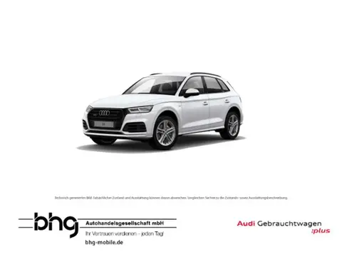 Used AUDI Q5 Diesel 2020 Ad 