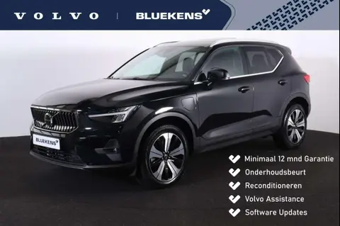 Annonce VOLVO XC40 Hybride 2022 d'occasion 