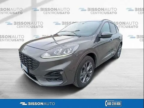 Used FORD KUGA Hybrid 2021 Ad 