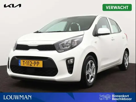 Used KIA PICANTO Petrol 2023 Ad 