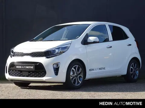 Used KIA PICANTO Petrol 2023 Ad 