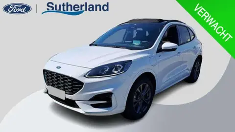 Annonce FORD KUGA Hybride 2023 d'occasion 