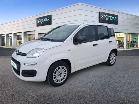 Annonce FIAT PANDA Essence 2019 d'occasion 