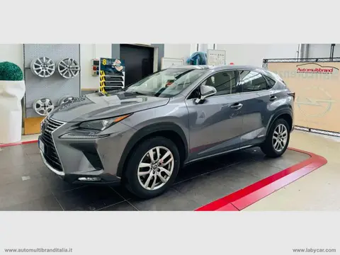 Annonce LEXUS NX Hybride 2018 d'occasion 