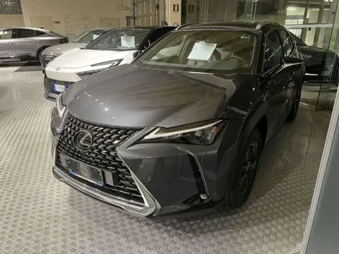 Used LEXUS UX Hybrid 2024 Ad 