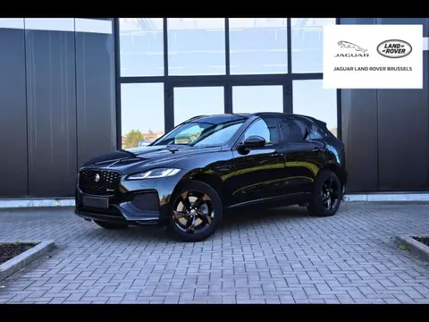 Used JAGUAR F-PACE Hybrid 2023 Ad 