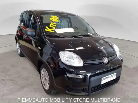 Used FIAT PANDA Hybrid 2024 Ad 