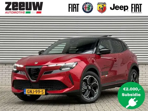 Used ALFA ROMEO JUNIOR Electric 2024 Ad 