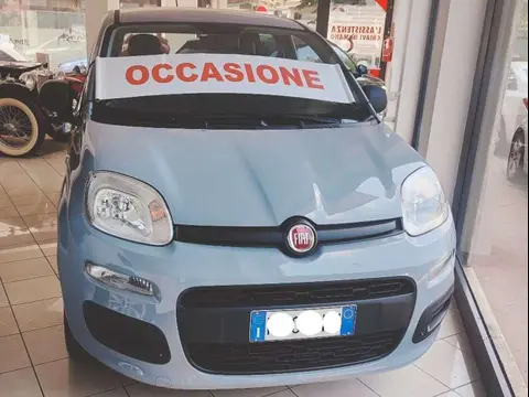 Annonce FIAT PANDA Essence 2019 d'occasion 