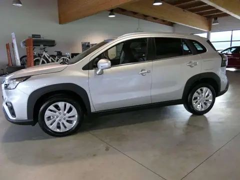 Used SUZUKI S-CROSS Hybrid 2024 Ad 