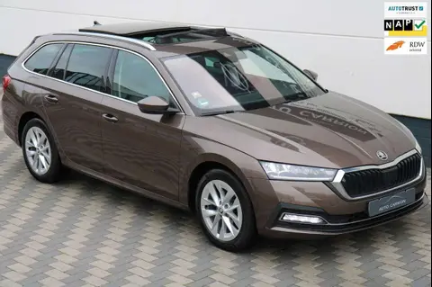 Used SKODA OCTAVIA Petrol 2020 Ad 