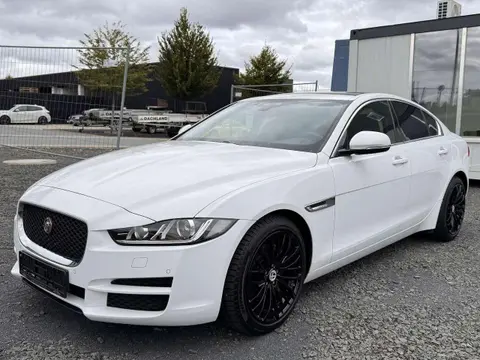 Used JAGUAR XE Diesel 2015 Ad 