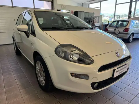 Annonce FIAT PUNTO Essence 2017 d'occasion 