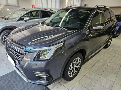 Annonce SUBARU FORESTER Hybride 2024 d'occasion 